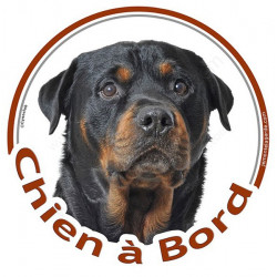 Rottweiler Tête, sticker autocollant rond "Chien à Bord" Disque photo adhésif vitre voiture