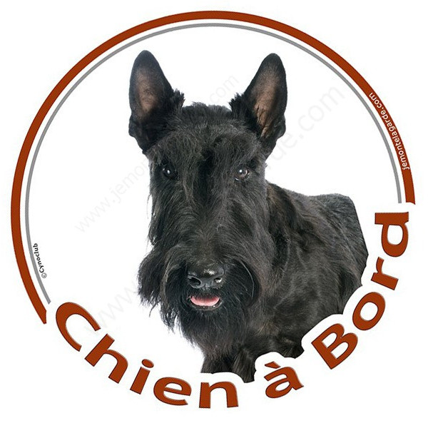 Scottish Terrier noir, sticker autocollant rond "Chien à Bord" Disque adhésif vitre voiture photo