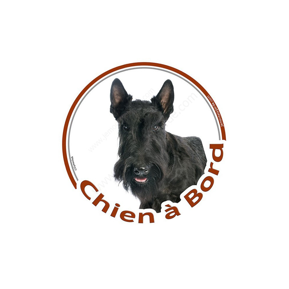Chien Scottie Étain Revers Broche Badge Mignon Écossais Terrier Neuf / 