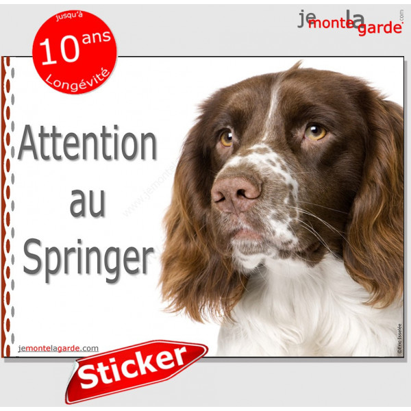 Springer Spaniel à bord Autocollant de fenêtre de voiture Décalque