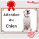 Dogue Argentin sympa Assis, Plaque portail "Attention au Chien" panneau affiche pancarte photo race