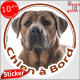 Cane Corso fauve marron, sticker autocollant rond "Chien à Bord" adhésif voiture photo