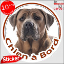 Cane Corso fauve, sticker "Chien à Bord" 14 cm