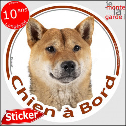 Shiba Inu fauve, sticker voiture "Chien à Bord" 14 cm