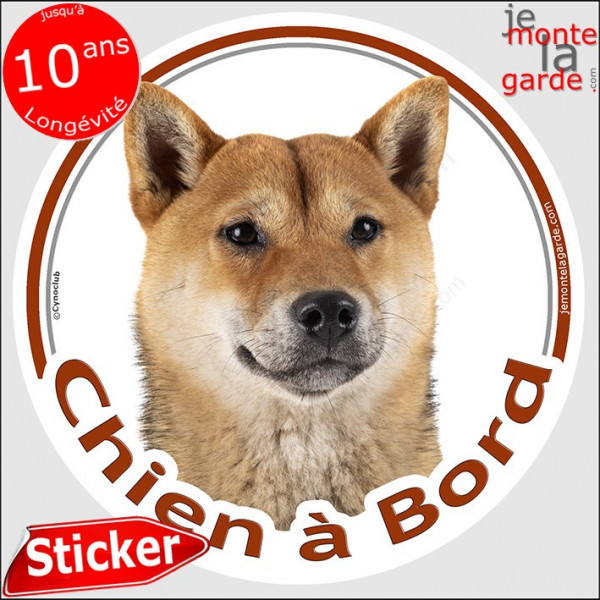 Shiba Inu fauve marron orange Tête, sticker autocollant rond "Chien à Bord" adhésif photo vitre voiture photo