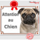 Carlin fauve Tête, Plaque portail "Attention au Chien" panneau affiche pancarte photo carlin beige sable crème