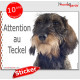 Teckel sanglier à poils durs, sticker autocollant "Attention au Chien", adhésif photo panneau pancarte affiche