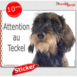 Teckel sanglier à poils durs, sticker autocollant "Attention au Chien", adhésif photo panneau pancarte affiche