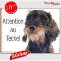 Teckel, autocollant "Attention au Chien" 16 cm