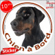 Dobermann noir et feu, sticker autocollant rond "Chien à Bord" Disque adhésif vitre voiture chien photo résiste intempéries