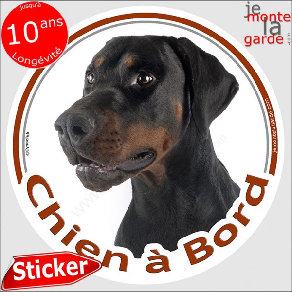 Dobermann noir et feu, sticker autocollant rond "Chien à Bord" Disque adhésif vitre voiture chien photo résiste intempéries