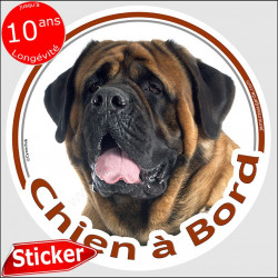 Mastiff, sticker "Chien à Bord" 15 cm