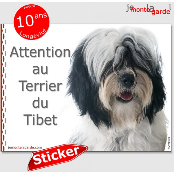 Terrier du Tibet noir et blanc, panneau autocollant "Attention au Chien" Sichers adhésif photo race pancarte plaque affiche