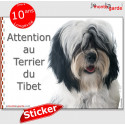 Terrier du Tibet, autocollant "Attention au Chien" 16 x 12 cm