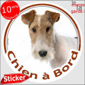 Fox-Terrier poils durs, sticker voiture "Chien à Bord" 14 cm