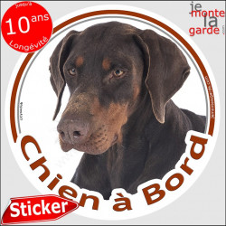 Dobermann, sticker autocollant rond "Chien à Bord" disque adhésif vitre voiture chien photo Doberman marron brun foie