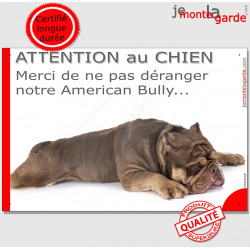 Plaque portail humour "Attention au Chien, Merci de ne pas déranger notre American Bully marron" 