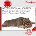 Plaque "Attention au Chien, Merci de ne pas déranger notre Bully" 24 cm NPD