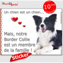 Border Collie noir et blanc, sticker autocollant "Love" 16 cm