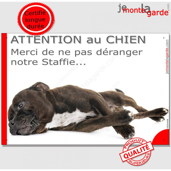 Plaque portail humour "Attention au Chien, Merci de ne pas déranger notre Staffie" Staffy bringé pancarte photo