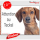 Teckel Teckel fauve marron à poils ras, sticker autocollant "Attention au Chien", adhésif photo panneau pancarte affiche