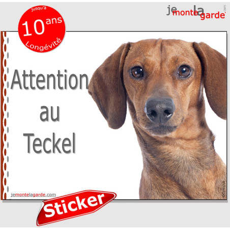 Teckel, autocollant "Attention au Chien" 16 cm Teckel, autocollant "Attention au Chien" 16 cm