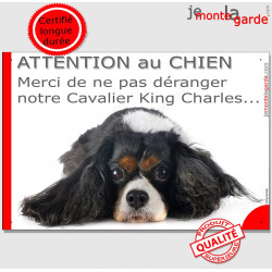 Plaque "Attention au Chien, Merci de ne pas déranger notre Cavalier King Charles tricolore" pancarte portail humour panneau