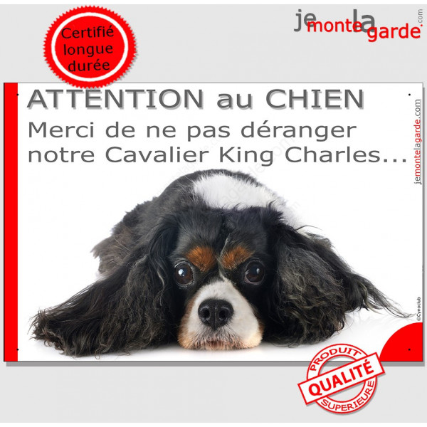 Plaque "Attention au Chien, Merci de ne pas déranger notre Cavalier King Charles tricolore" pancarte portail humour panneau
