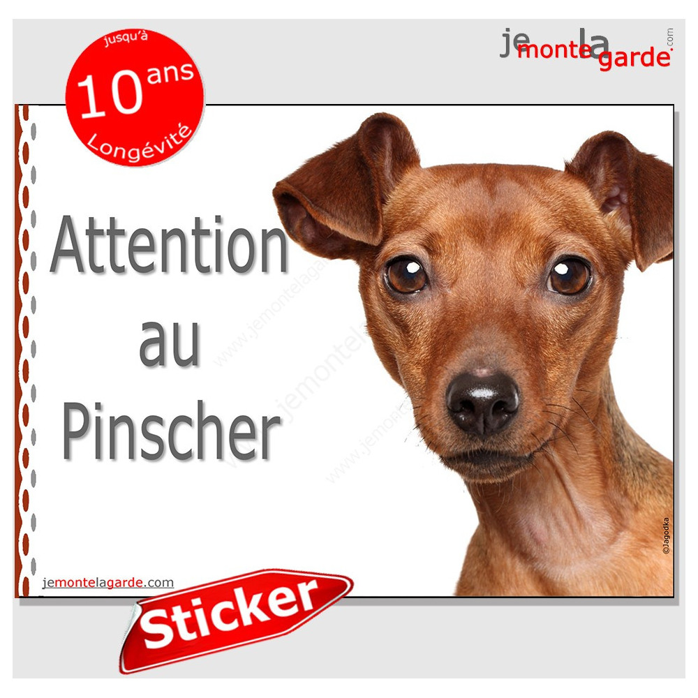 - Aspect Aluminium Brossé Jaune Sticker de Porte Attention Au Chien 2 Dimensions 170 x 50 mm 