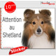 Berger Shetland fauve, panneau autocollant "Attention au Chien" pancarte sticker photo adhésif