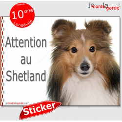 Shetland, autocollant "Attention au Chien" 16 x 12 cm