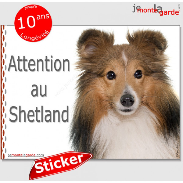 Berger Shetland fauve, panneau autocollant "Attention au Chien" pancarte sticker photo adhésif