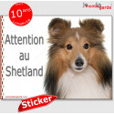 Shetland, autocollant "Attention au Chien" 16 x 12 cm