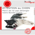 Plaque "Attention au Chien, Merci de ne pas déranger notre Border Collie" 24 cm NPD