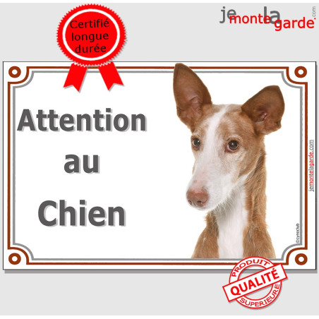 Podenco d'Ibiza tête, plaque portail "Attention au Chien" chien garenne baléares photo, résiste pluie soleil gel, idée cadeau