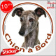 Lévrier Galgo Espagnol, sticker autocollant rond "Chien à Bord" Disque adhésif vitre voiture photo