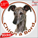 Lévrier Galgo, sticker voiture "Chien à Bord" 2 tailles