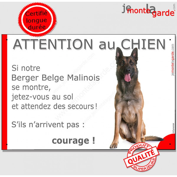 Berger Belge Malinois assis, plaque humour "Attention au Chien, Jetez Vous au Sol" pancarte panneau portail photo