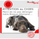 Plaque portail humour "Attention au Chien, Merci de ne pas déranger notre Braque Allemand" pancarte photo plaque drôle