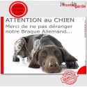 Plaque "Attention au Chien, Merci de ne pas déranger notre Braque Allemand" 24 cm NPD