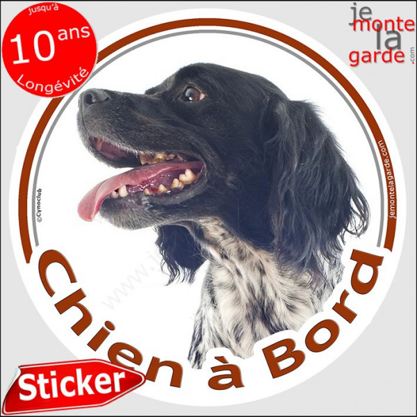 Epagneul Breton noir Tête, sticker autocollant rond "Chien à Bord" disque adhésif vitre voiture photo