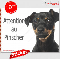 Pinscher, autocollant "Attention au Chien" 16 cm