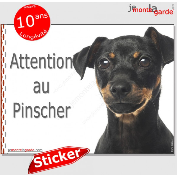 Pinscher noir et feu, panneau autocollant "Attention au Chien" photo, sticker pancarte adhésif