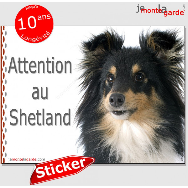 Berger Shetland tricolore, panneau autocollant "Attention au Chien" pancarte sticker photo adhésif