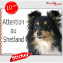 Shetland, autocollant "Attention au Chien" 16 x 12 cm