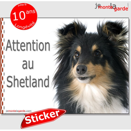 Shetland, autocollant "Attention au Chien" 16 x 12 cm Shetland, autocollant "Attention au Chien" 16 x 12 cm