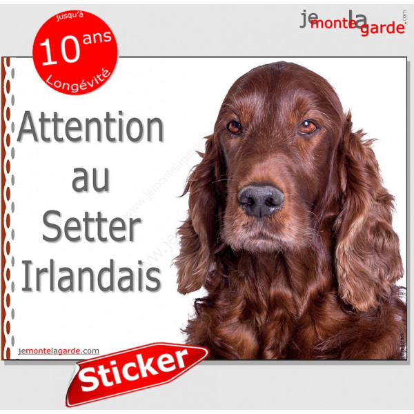 Setter Irlandais, panneau autocollant "Attention au Chien", pancarte sticker photo adhésif