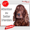 Setter Irlandais, autocollant "Attention au Chien" 16 cm