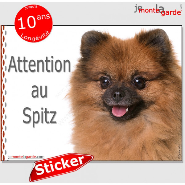 Spitz Loulou fauve orange, panneau autocollant "Attention au Chien" Pancarte photo sticker adhésif