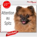 Spitz, autocollant "Attention au Chien" 16 cm